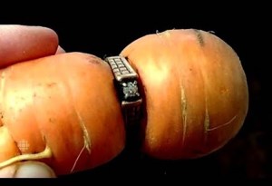 Carrot Ring