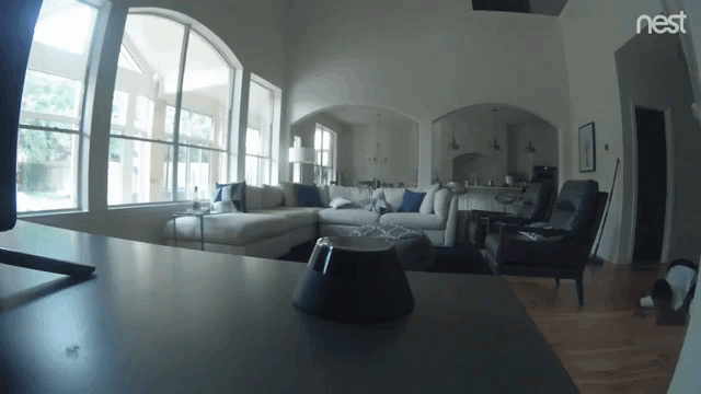 Father Catches His Son Sneakily Crawling Across the Living Room Floor to Turn Off Nest Cam
