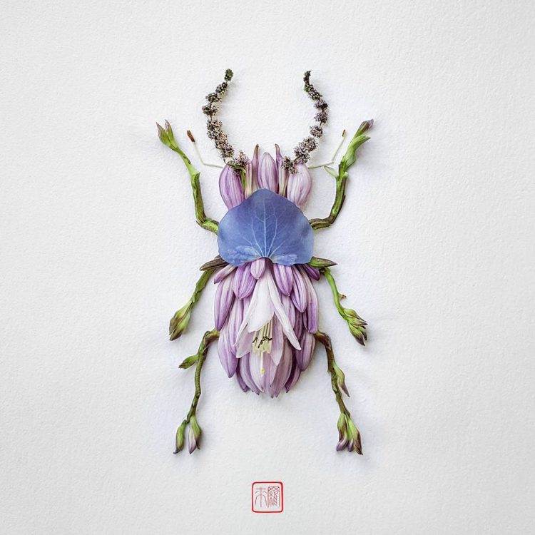 Floral Stag Beetle