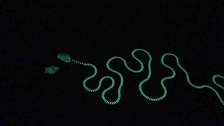 glow-in-the-dark-dominoes.png