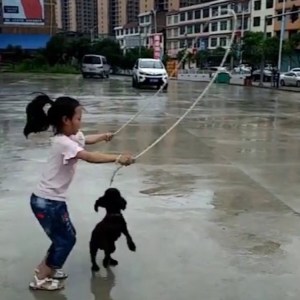 little girl little dog jump rope
