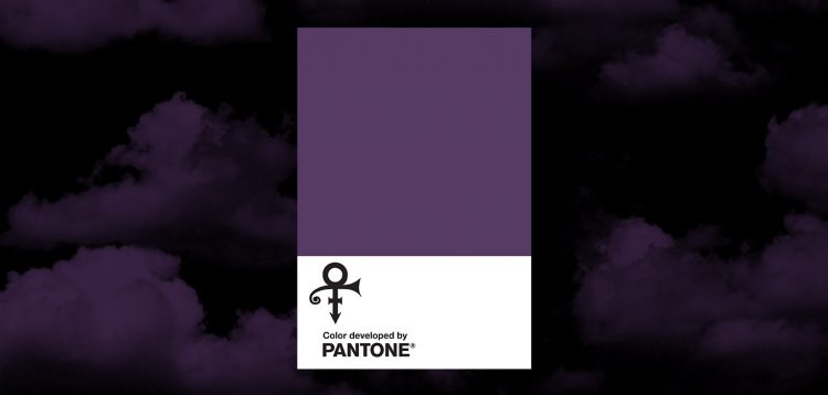 Prince Purple Pantone
