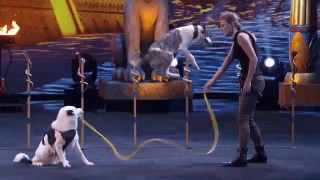 Sara Carson and Her Border Collies Perform Incredible Tricks on America’s Got Talent