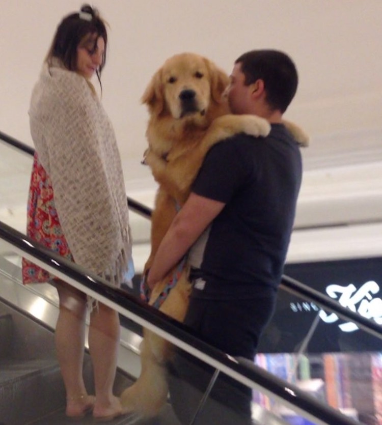 antonio-the-golden-escalator.jpg