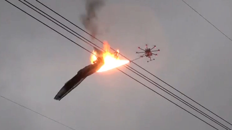 flame-throwing-drone-removes-40-feet-of-