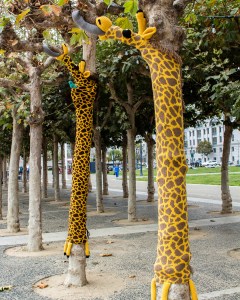 Giraffe Trees