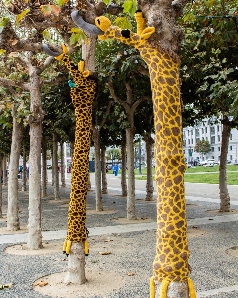 Giraffe Trees