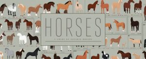 Notable Horse Breeds