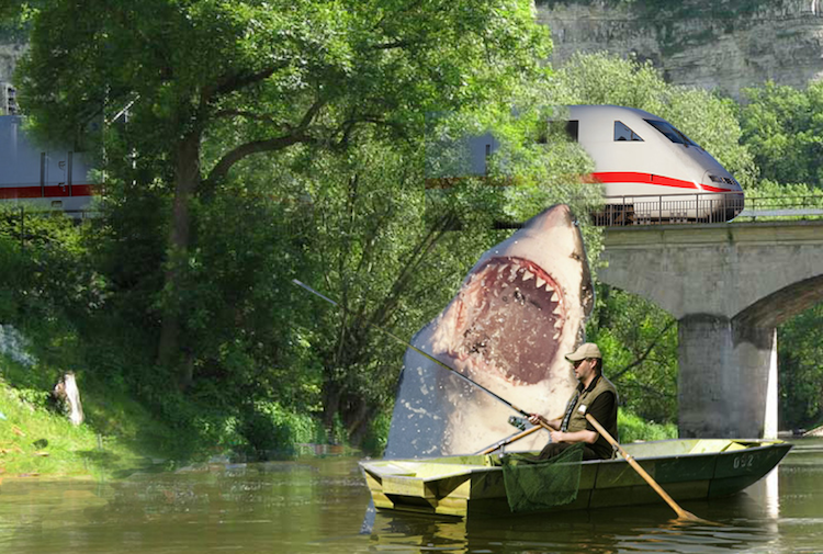 shark-rowboat-train.png