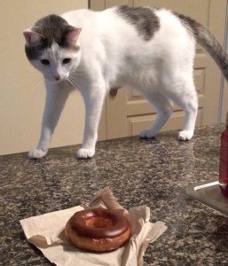 Simon the Cat and Donut