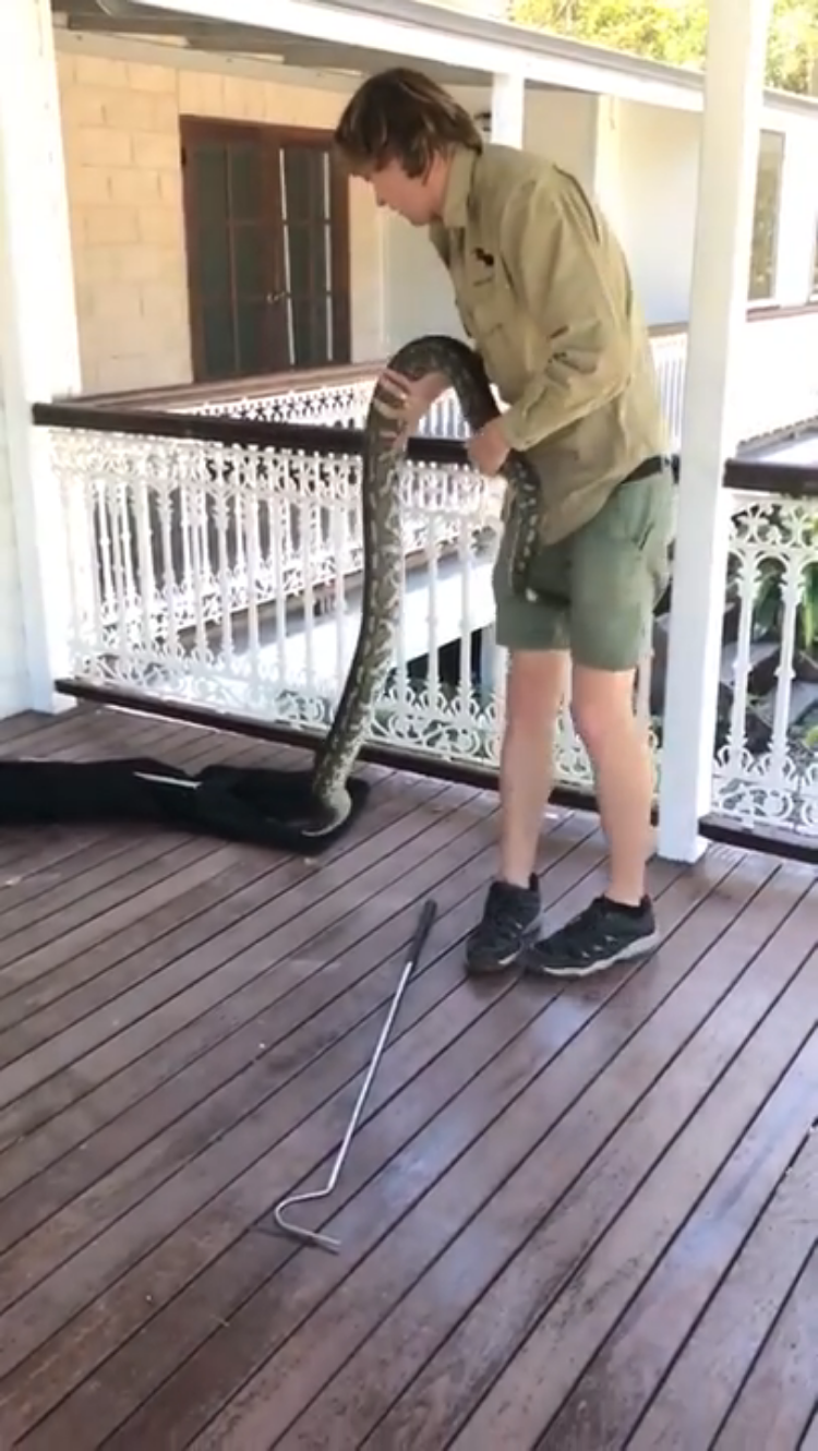 Snake Into Bag