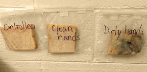 Teacher's Gross But Genius Bread Experiment Shows Kids Why They Need to Wash Their Hands