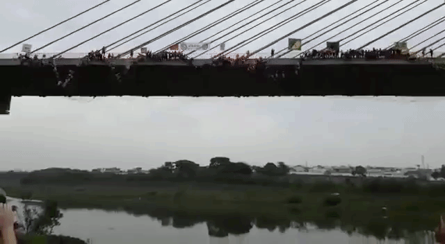 245 Thrillseekers Attempt to Break a World Record by Rope Jumping Together From of a Bridge in Brazil