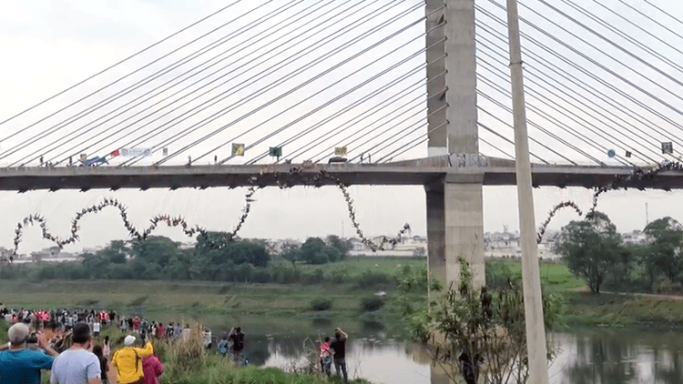 245 Thrillseekers Attempt to Break a World Record by Rope Jumping Together From of a Bridge in Brazil