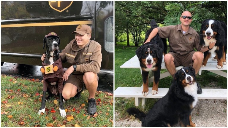 UPS Drivers and Dogs