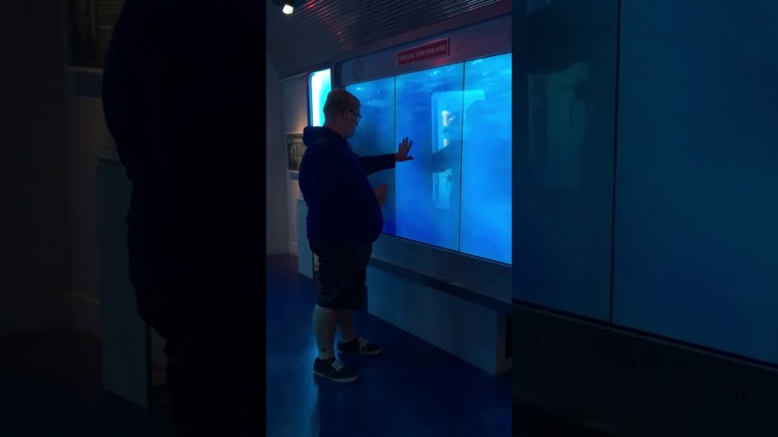 Virtual Shark Tank