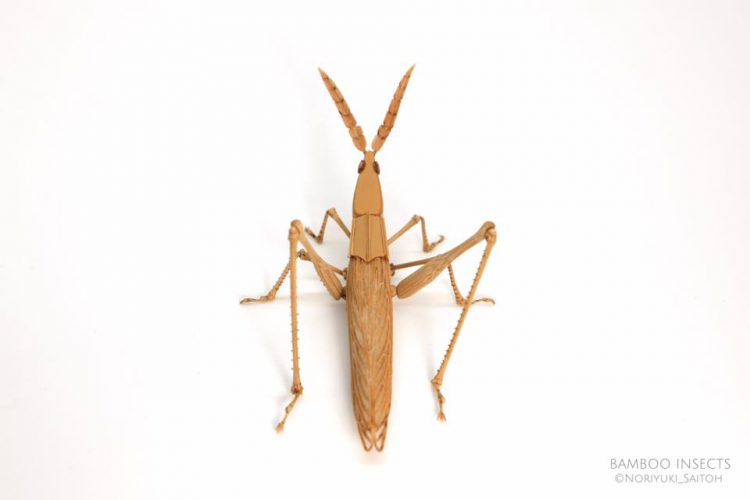 bamboo-mantis-e1508259541677.jpg