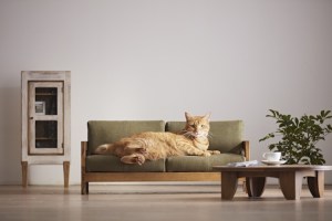 Cat Furniture - Sofa