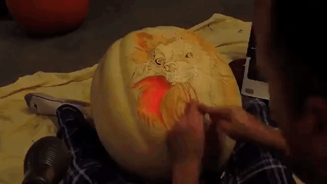 Fantastic Timelapse of Veterinarian Creating a Realistic Pumpkin Carving of His Pomeranian