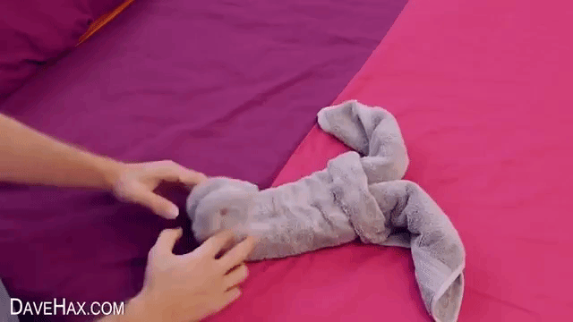 How to Make a Cute Elephant Display by Folding Towels Like Origami