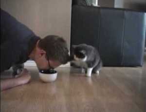 Human Eating Kibble from Kitty Bowl