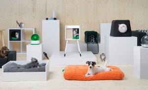 Ikea Pet Furniture