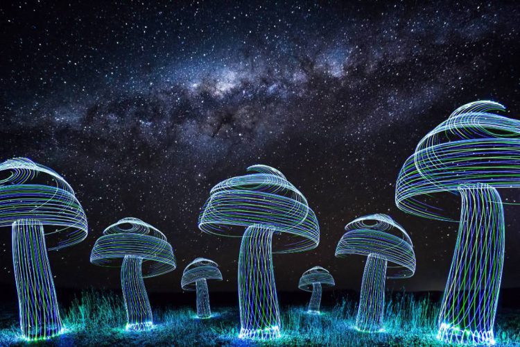 Light Mushrooms