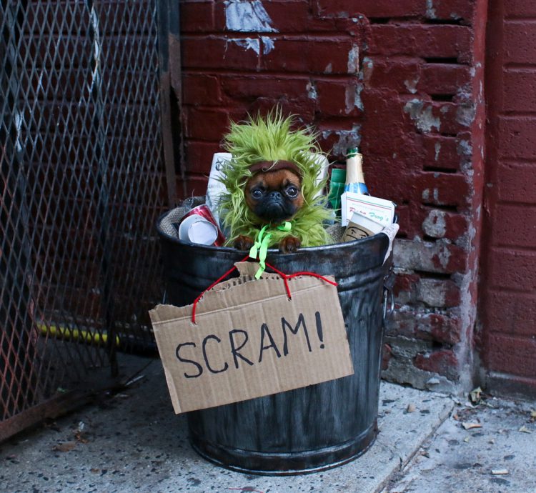 oscar-the-grouch-tompkins-park-halloween