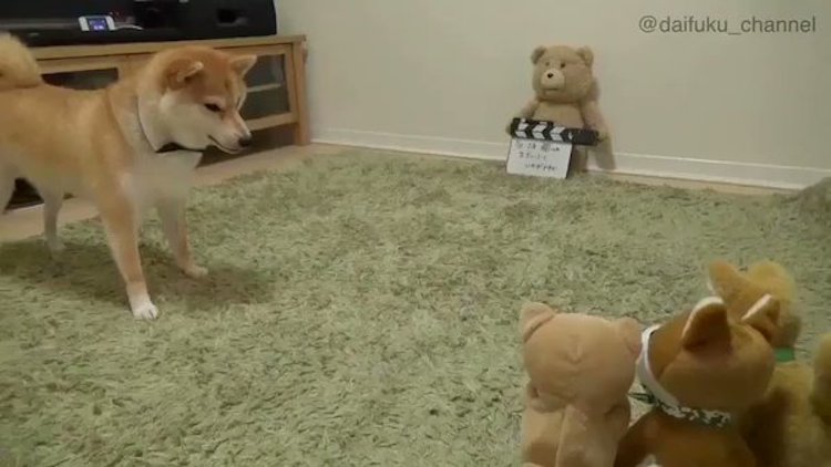Shiba Inu Barking Toy