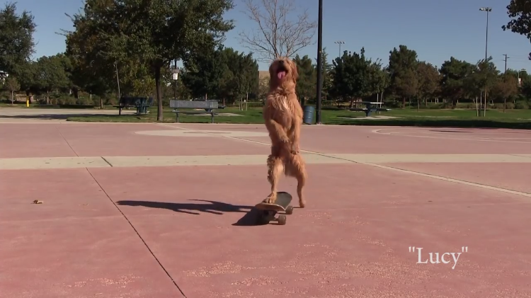 skateboarding-lucy.png