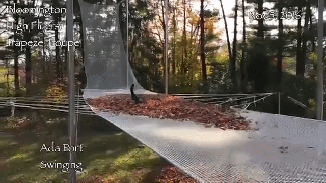 Slow Motion Footage of a Trapeze Artist Falling Onto a Net Covered in Leaves