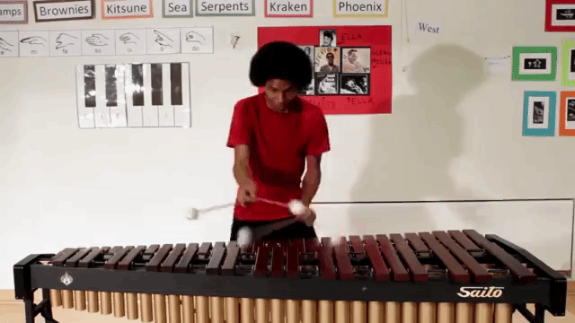 Super Mario Bros. Theme Songs Played on a Marimba With Four Mallets