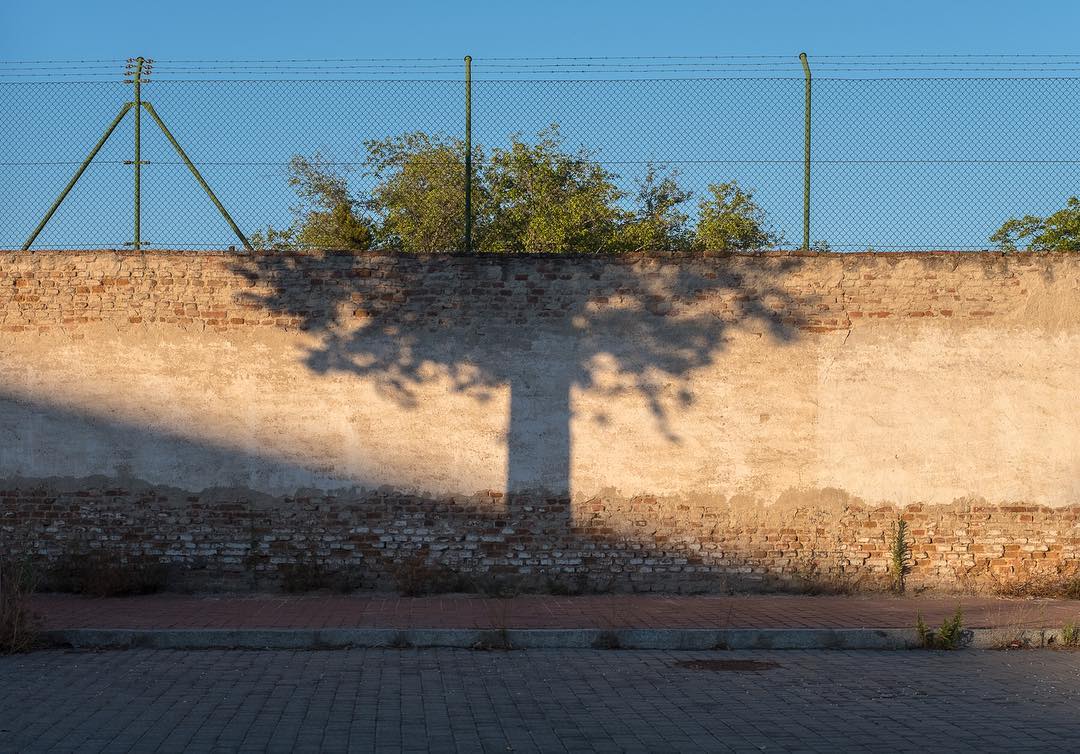 tree-shadow.jpg