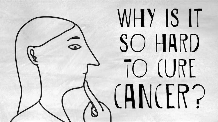 Why Is It So Hard to Cure Cancer