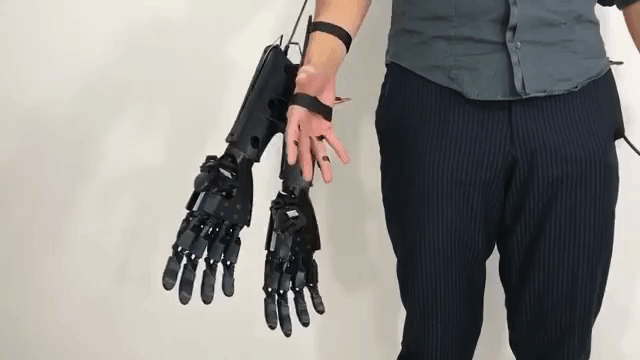 Double-Handed Glove
