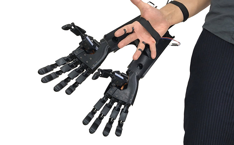 Double-Handed Glove