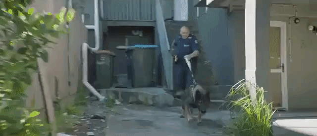 New Zealand Police's Amazing Recruitment Video Features Helicopters, Bagpipes, and a Cop Cat