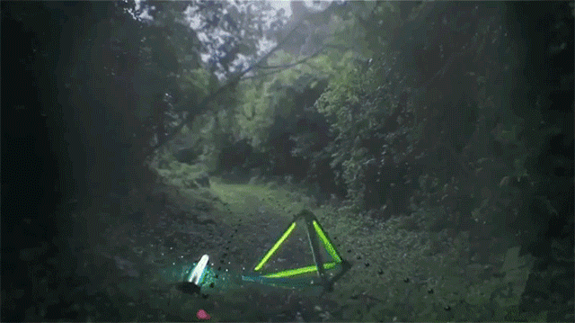 3D Animated Red, Green, and Blue Elements Play and Dance Throughout a Real Forest to Music