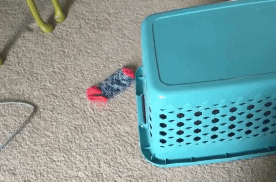 Cat Stealing Socks From Underneath Laundry Basket