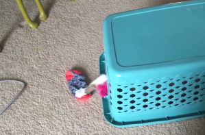 Cat Stealing Socks Underneath Laundry Basket
