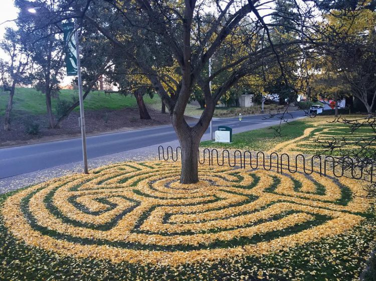 Gingko Leaf Art