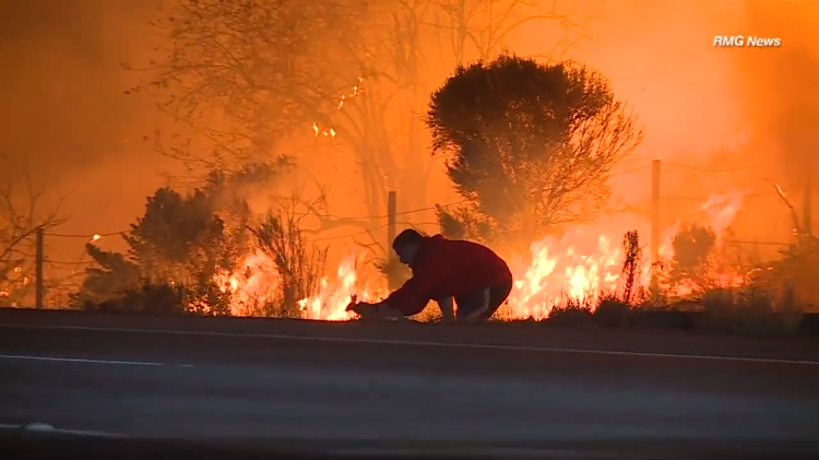 man-rescuing-rabbit-from-thomas-fire.png