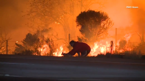 Man Rescuing Rabbit From Thomas Fire