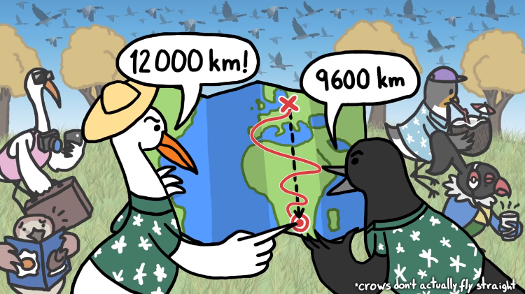 migrating-birds-map.png