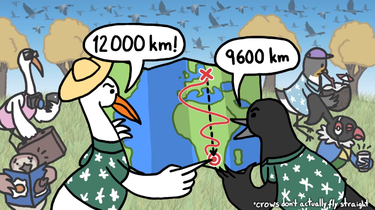 Migrating Birds Map
