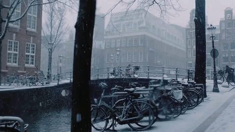 Snowy Amsterdam
