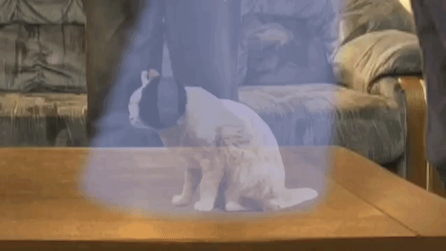 Star Wars A New Hope Reenacted With Cats