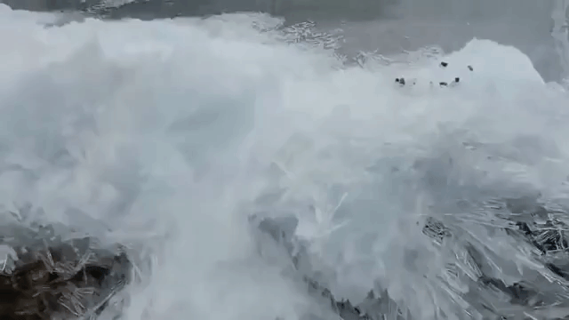 Waves Freezing on Shore