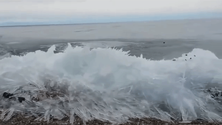 Waves Freezing Siberia