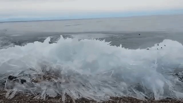 Waves Freezing